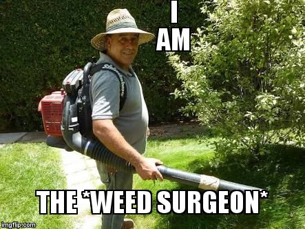 Gardener  | I                                   AM; THE *WEED SURGEON* | image tagged in gardener | made w/ Imgflip meme maker