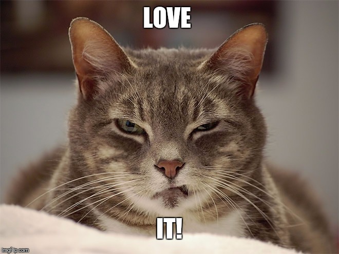 Sarcasm Cat | LOVE IT! | image tagged in sarcasm cat | made w/ Imgflip meme maker