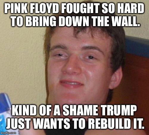 10 Guy Meme | PINK FLOYD FOUGHT SO HARD TO BRING DOWN THE WALL. KIND OF A SHAME TRUMP JUST WANTS TO REBUILD IT. | image tagged in memes,10 guy | made w/ Imgflip meme maker