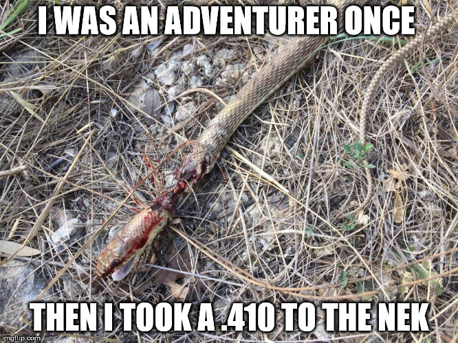 I WAS AN ADVENTURER ONCE; THEN I TOOK A .410 TO THE NEK | made w/ Imgflip meme maker