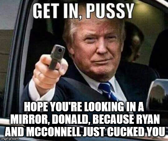 Donald Trump Get in pussy | HOPE YOU'RE LOOKING IN A MIRROR, DONALD, BECAUSE RYAN AND MCCONNELL JUST CUCKED YOU | image tagged in donald trump get in pussy | made w/ Imgflip meme maker