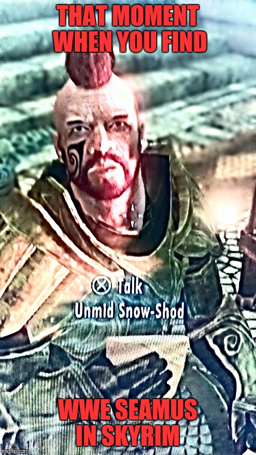 THAT MOMENT WHEN YOU FIND; WWE SEAMUS IN SKYRIM | image tagged in seamus skyrim | made w/ Imgflip meme maker