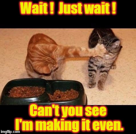 cats share food | Wait !  Just wait ! Can't you see I'm making it even. | image tagged in cats share food | made w/ Imgflip meme maker