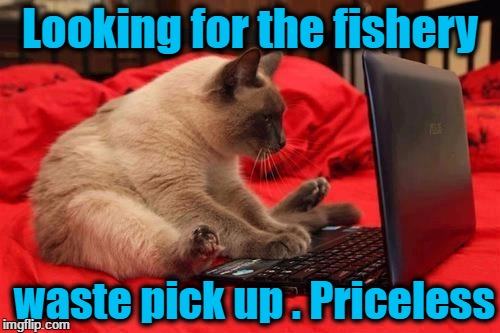 quit looking at cats online | Looking for the fishery; waste pick up . Priceless | image tagged in quit looking at cats online | made w/ Imgflip meme maker