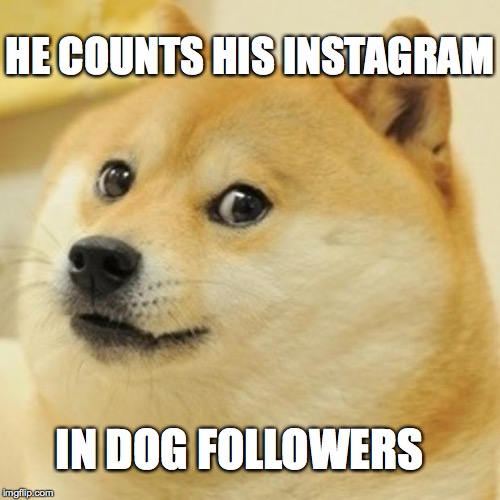 Doge Meme | HE COUNTS HIS INSTAGRAM IN DOG FOLLOWERS | image tagged in memes,doge | made w/ Imgflip meme maker