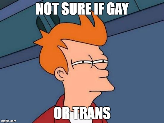 Futurama Fry Meme | NOT SURE IF GAY; OR TRANS | image tagged in memes,futurama fry | made w/ Imgflip meme maker
