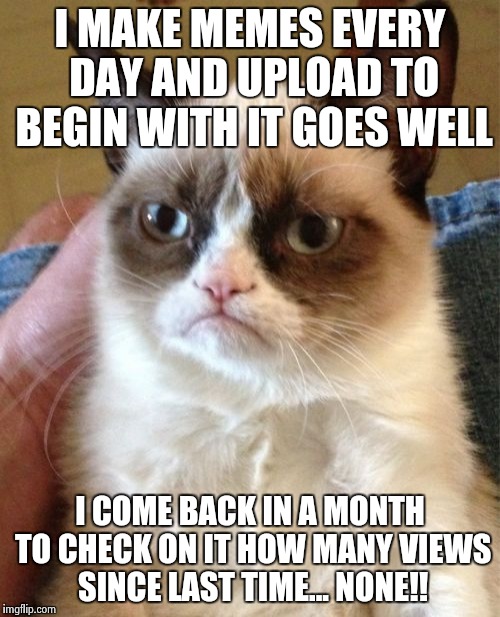 Grumpy Cat Meme | I MAKE MEMES EVERY DAY AND UPLOAD TO BEGIN WITH IT GOES WELL; I COME BACK IN A MONTH TO CHECK ON IT HOW MANY VIEWS SINCE LAST TIME... NONE!! | image tagged in memes,grumpy cat | made w/ Imgflip meme maker
