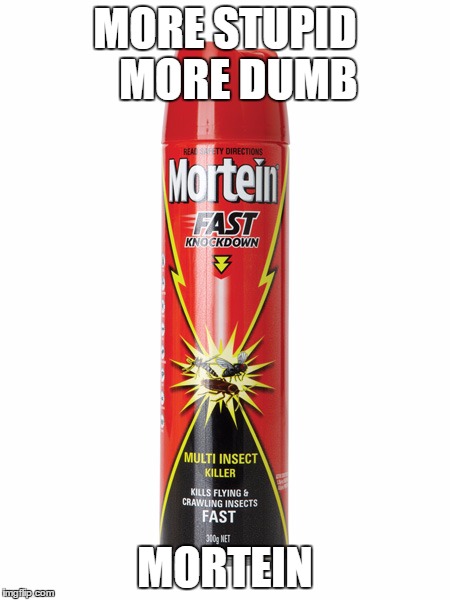 Mortein | MORE STUPID   MORE DUMB; MORTEIN | image tagged in mortein,knockout | made w/ Imgflip meme maker