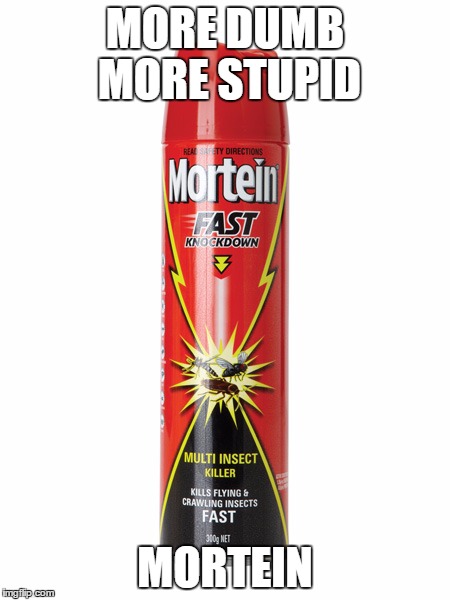 Mortein | MORE DUMB MORE STUPID; MORTEIN | image tagged in mortein | made w/ Imgflip meme maker