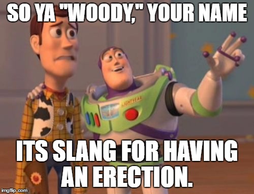 X, X Everywhere | SO YA ''WOODY,'' YOUR NAME; ITS SLANG FOR HAVING AN ERECTION. | image tagged in memes,x x everywhere | made w/ Imgflip meme maker