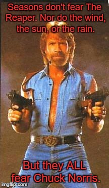 Death once had a near Chuck Norris experience. | Seasons don't fear The Reaper. Nor do the wind, the sun, or the rain. But they ALL fear Chuck Norris. | image tagged in chuck norris2,chuck norris,chuck norris week,blue oyster cult,memes | made w/ Imgflip meme maker