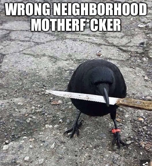 WRONG NEIGHBORHOOD MOTHERF*CKER | image tagged in the crow | made w/ Imgflip meme maker