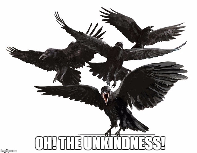 Oh! the unkindness! | OH! THE UNKINDNESS! | image tagged in unkindness of ravens,ravens | made w/ Imgflip meme maker