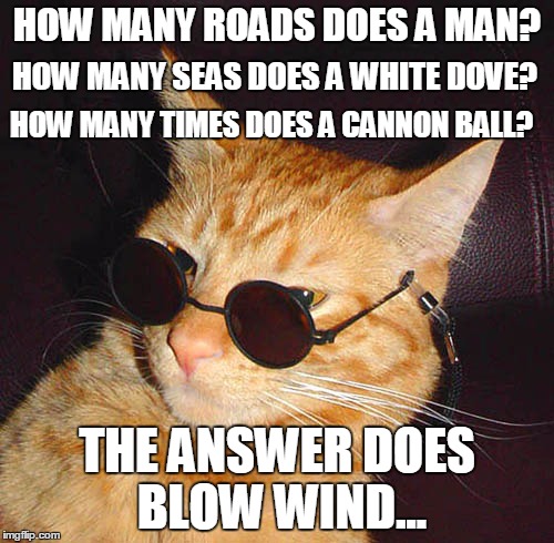 Sunglasses Cat | HOW MANY ROADS DOES A MAN? HOW MANY SEAS DOES A WHITE DOVE? HOW MANY TIMES DOES A CANNON BALL? THE ANSWER DOES BLOW WIND... | image tagged in sunglasses cat | made w/ Imgflip meme maker