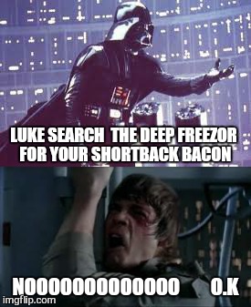 May the bacon be with you  | LUKE SEARCH  THE DEEP FREEZOR FOR YOUR SHORTBACK BACON; NOOOOOOOOOOOOO
       O.K | image tagged in memes,bacon,star wars,may the fourth,funny,star wars no | made w/ Imgflip meme maker