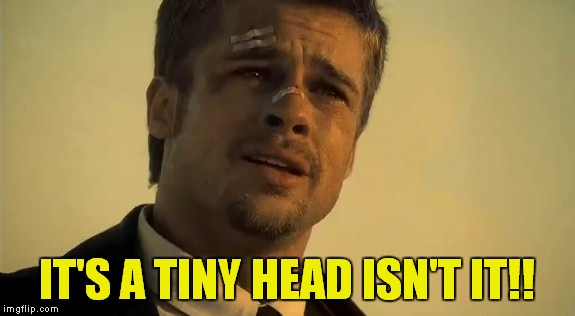 IT'S A TINY HEAD ISN'T IT!! | made w/ Imgflip meme maker