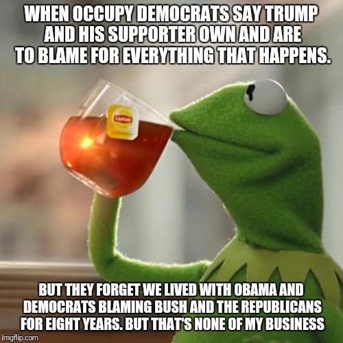 But That's None Of My Business | WHEN OCCUPY DEMOCRATS SAY TRUMP AND HIS SUPPORTER OWN AND ARE TO BLAME FOR EVERYTHING THAT HAPPENS. BUT THEY FORGET WE LIVED WITH OBAMA AND DEMOCRATS BLAMING BUSH AND THE REPUBLICANS FOR EIGHT YEARS. BUT THAT'S NONE OF MY BUSINESS | image tagged in memes,but thats none of my business,kermit the frog | made w/ Imgflip meme maker