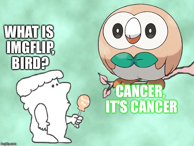 WHAT IS IMGFLIP, BIRD? CANCER, IT'S CANCER | image tagged in pokemon | made w/ Imgflip meme maker