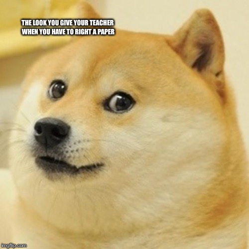 Doge | THE LOOK YOU GIVE YOUR TEACHER WHEN YOU HAVE TO RIGHT A PAPER | image tagged in memes,doge | made w/ Imgflip meme maker