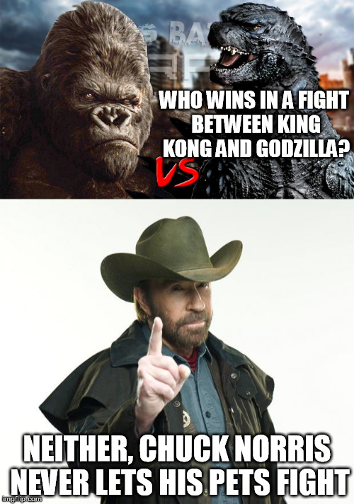 Chuck Norris Week (A SIr_Unknown event) | WHO WINS IN A FIGHT BETWEEN KING KONG AND GODZILLA? NEITHER, CHUCK NORRIS NEVER LETS HIS PETS FIGHT | image tagged in chuck norris,chuck norris week,king kong,godzilla,funny memes | made w/ Imgflip meme maker