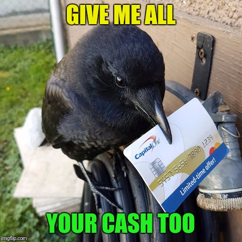 GIVE ME ALL YOUR CASH TOO | made w/ Imgflip meme maker