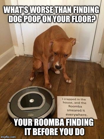 Robot sweepers won't always make housekeeping easier  | WHAT'S WORSE THAN FINDING DOG POOP ON YOUR FLOOR? YOUR ROOMBA FINDING IT BEFORE YOU DO | image tagged in memes,dogs,leaderboard | made w/ Imgflip meme maker