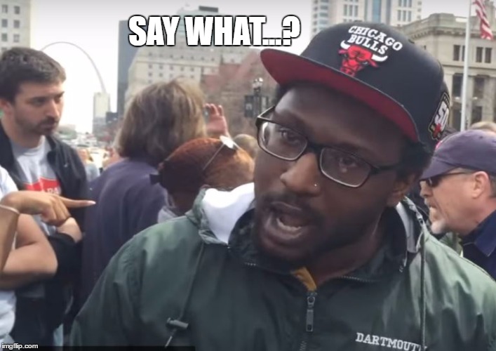 Say What? | SAY WHAT...? | image tagged in what | made w/ Imgflip meme maker