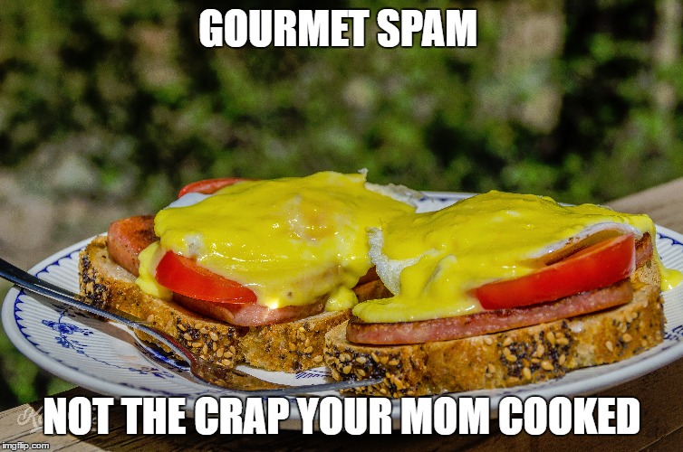 spam | GOURMET SPAM; NOT THE CRAP YOUR MOM COOKED | image tagged in memes,meme,spam | made w/ Imgflip meme maker