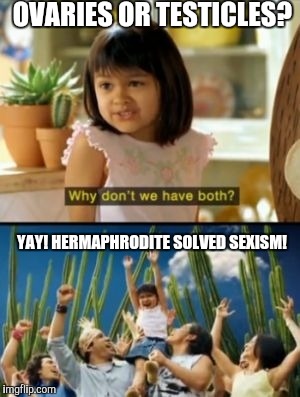 Why Not Both | OVARIES OR TESTICLES? YAY! HERMAPHRODITE SOLVED SEXISM! | image tagged in memes,why not both | made w/ Imgflip meme maker
