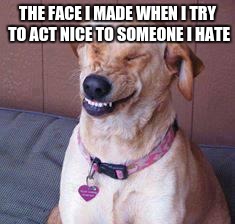funny dog | THE FACE I MADE WHEN I TRY TO ACT NICE TO SOMEONE I HATE | image tagged in funny dog | made w/ Imgflip meme maker