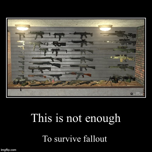 Fallout survivor  | image tagged in funny,demotivationals | made w/ Imgflip demotivational maker