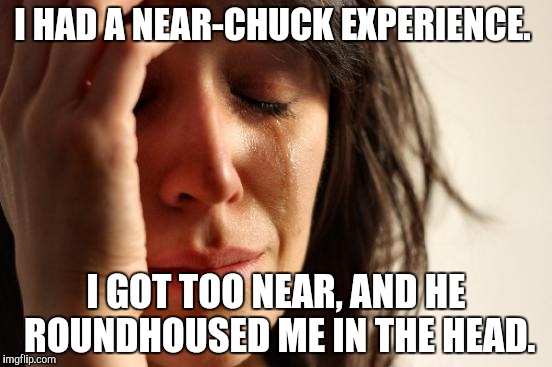 When death has a near-Chuck (Norris)experience  | I HAD A NEAR-CHUCK EXPERIENCE. I GOT TOO NEAR, AND HE ROUNDHOUSED ME IN THE HEAD. | image tagged in memes,first world problems | made w/ Imgflip meme maker