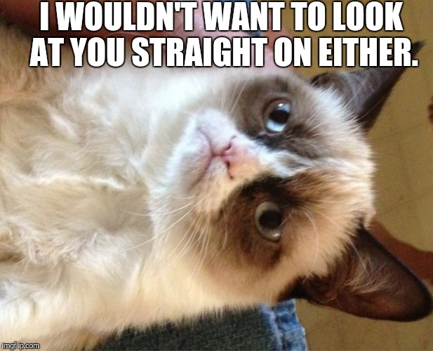 Grumpy Cat Meme | I WOULDN'T WANT TO LOOK AT YOU STRAIGHT ON EITHER. | image tagged in memes,grumpy cat | made w/ Imgflip meme maker