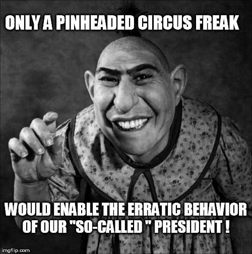 If you don't know he's a clown then you are in his Circus  | ONLY A PINHEADED CIRCUS FREAK; WOULD ENABLE THE ERRATIC BEHAVIOR OF OUR "SO-CALLED " PRESIDENT ! | image tagged in donald trump | made w/ Imgflip meme maker