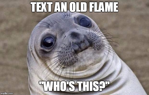 Awkward Moment Sealion | TEXT AN OLD FLAME; "WHO'S THIS?" | image tagged in memes,awkward moment sealion | made w/ Imgflip meme maker