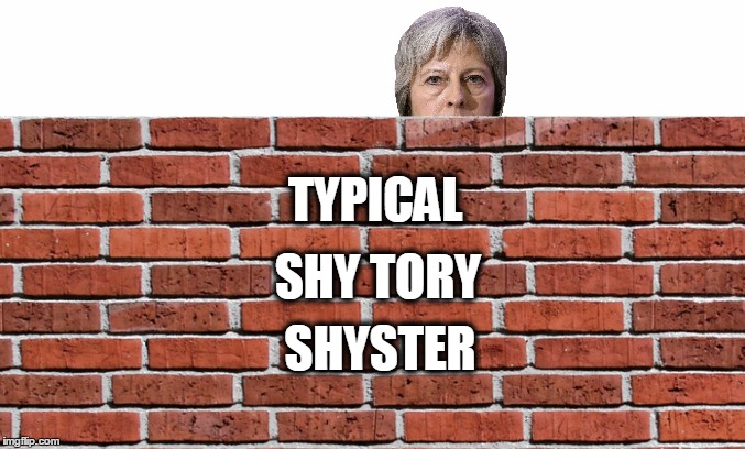 Shy Tory Shyster | TYPICAL; SHY TORY; SHYSTER | image tagged in shy tory shyster | made w/ Imgflip meme maker