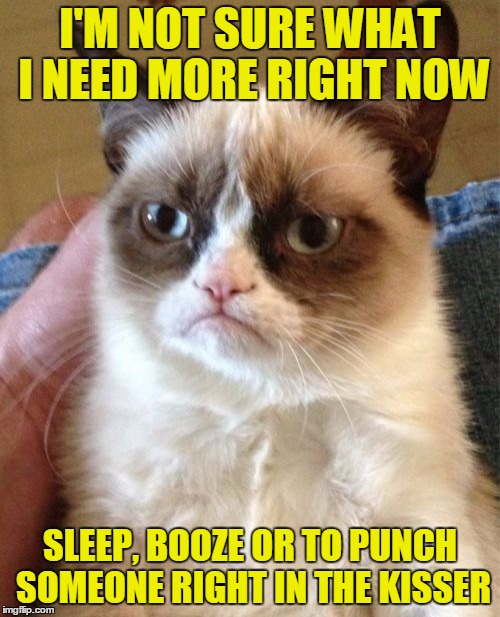 Grumpy Cat Meme | I'M NOT SURE WHAT I NEED MORE RIGHT NOW; SLEEP, BOOZE OR TO PUNCH SOMEONE RIGHT IN THE KISSER | image tagged in memes,grumpy cat | made w/ Imgflip meme maker