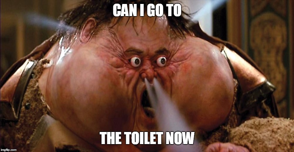 China | CAN I GO TO; THE TOILET NOW | image tagged in china | made w/ Imgflip meme maker