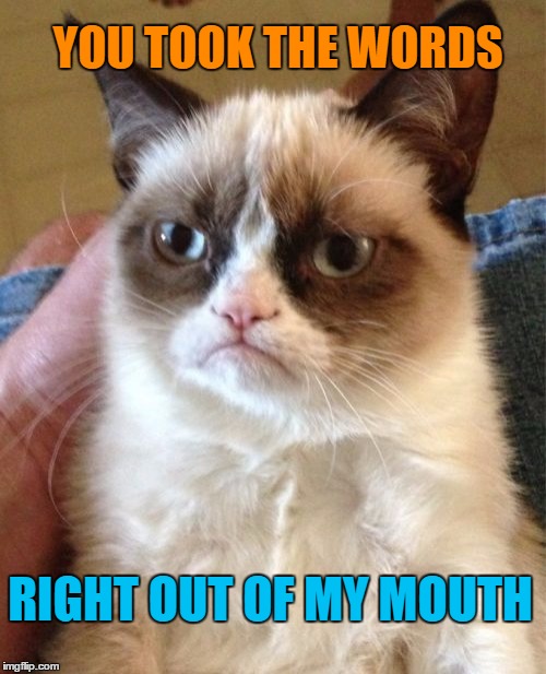 Grumpy Cat Meme | YOU TOOK THE WORDS RIGHT OUT OF MY MOUTH | image tagged in memes,grumpy cat | made w/ Imgflip meme maker