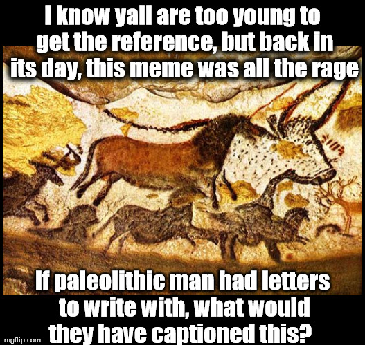 Old but Gold | I know yall are too young to get the reference, but back in its day, this meme was all the rage; If paleolithic man had letters to write with, what would they have captioned this? | image tagged in memes,funny,cave paintings,cavemen,caption this | made w/ Imgflip meme maker