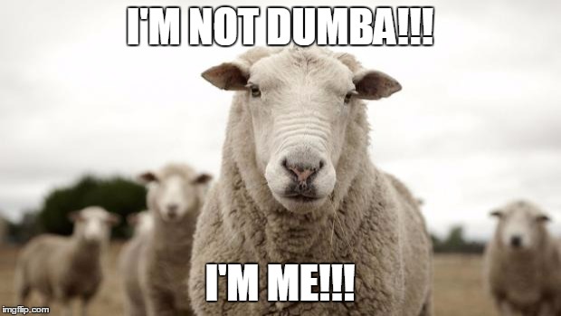 Sheep | I'M NOT DUMBA!!! I'M ME!!! | image tagged in sheep | made w/ Imgflip meme maker
