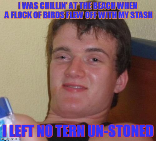 10 Guy |  I WAS CHILLIN' AT THE BEACH WHEN A FLOCK OF BIRDS FLEW OFF WITH MY STASH; I LEFT NO TERN UN-STONED | image tagged in memes,10 guy | made w/ Imgflip meme maker