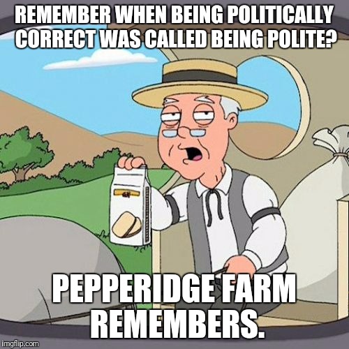 Pepperidge Farm Remembers Meme | REMEMBER WHEN BEING POLITICALLY CORRECT WAS CALLED BEING POLITE? PEPPERIDGE FARM REMEMBERS. | image tagged in memes,pepperidge farm remembers | made w/ Imgflip meme maker