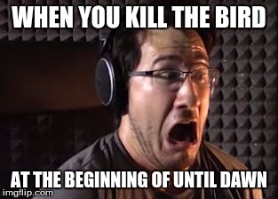 Markiplier  | WHEN YOU KILL THE BIRD; AT THE BEGINNING OF UNTIL DAWN | image tagged in markiplier | made w/ Imgflip meme maker