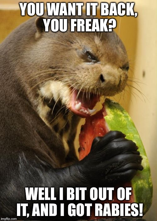 Self Loathing Otter |  YOU WANT IT BACK, YOU FREAK? WELL I BIT OUT OF IT, AND I GOT RABIES! | image tagged in memes,self loathing otter | made w/ Imgflip meme maker