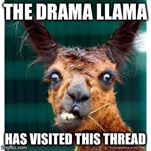 Llama | THE DRAMA LLAMA; HAS VISITED THIS THREAD | image tagged in llama | made w/ Imgflip meme maker