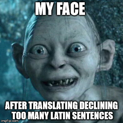 Gollum Meme | MY FACE; AFTER TRANSLATING DECLINING TOO MANY LATIN SENTENCES | image tagged in memes,gollum | made w/ Imgflip meme maker