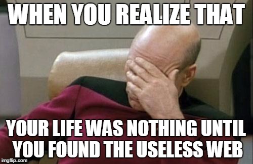 Captain Picard Facepalm | WHEN YOU REALIZE THAT; YOUR LIFE WAS NOTHING UNTIL YOU FOUND THE USELESS WEB | image tagged in memes,captain picard facepalm | made w/ Imgflip meme maker