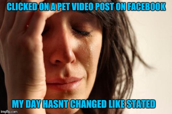 First World Problems Meme | CLICKED ON A PET VIDEO POST ON FACEBOOK; MY DAY HASNT CHANGED LIKE STATED | image tagged in memes,first world problems | made w/ Imgflip meme maker