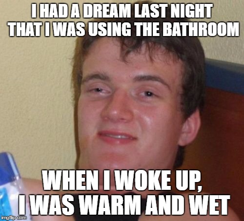 10 Guy | I HAD A DREAM LAST NIGHT THAT I WAS USING THE BATHROOM; WHEN I WOKE UP, I WAS WARM AND WET | image tagged in memes,10 guy | made w/ Imgflip meme maker